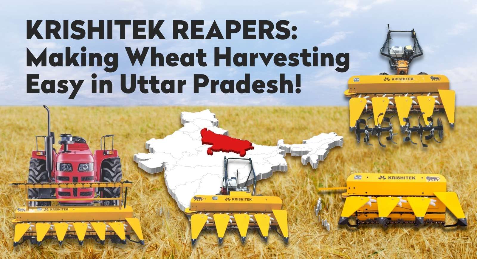 Wheat harvesting in uttar pradesh